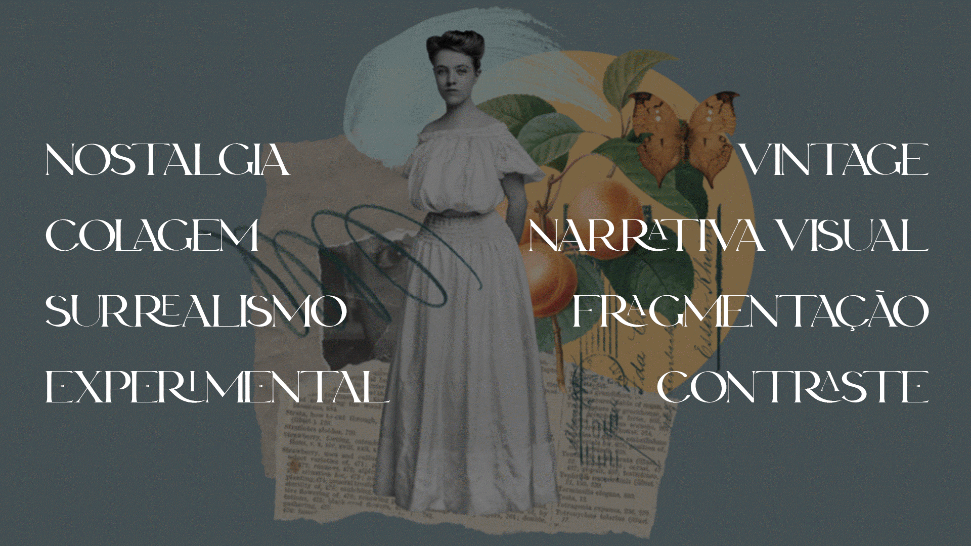 editorial-livro-damas-moodboard